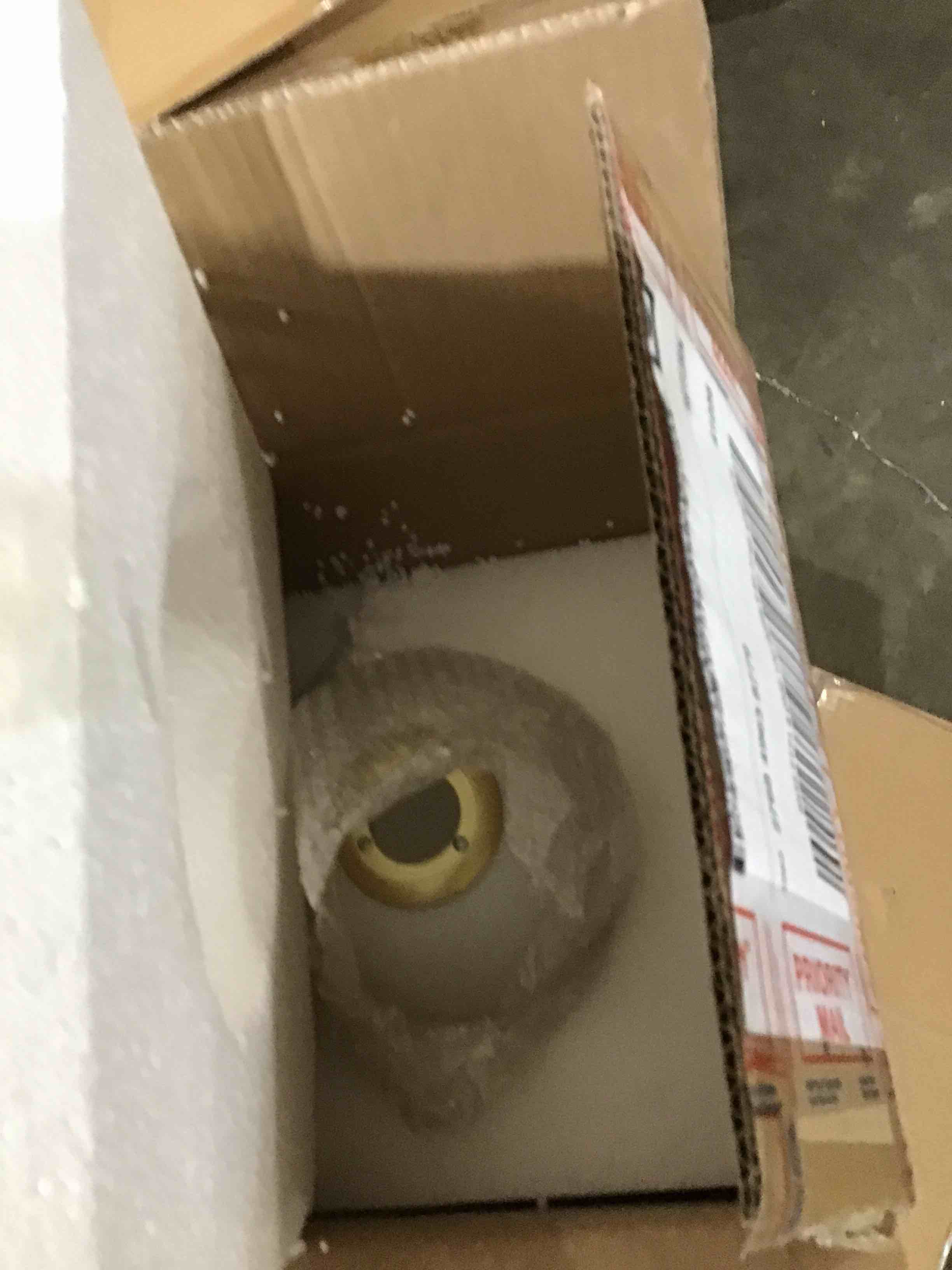 https://s3.amazonaws.com/lotting-images-prod/bidfta/RED5931994_1724069724699.jpeg