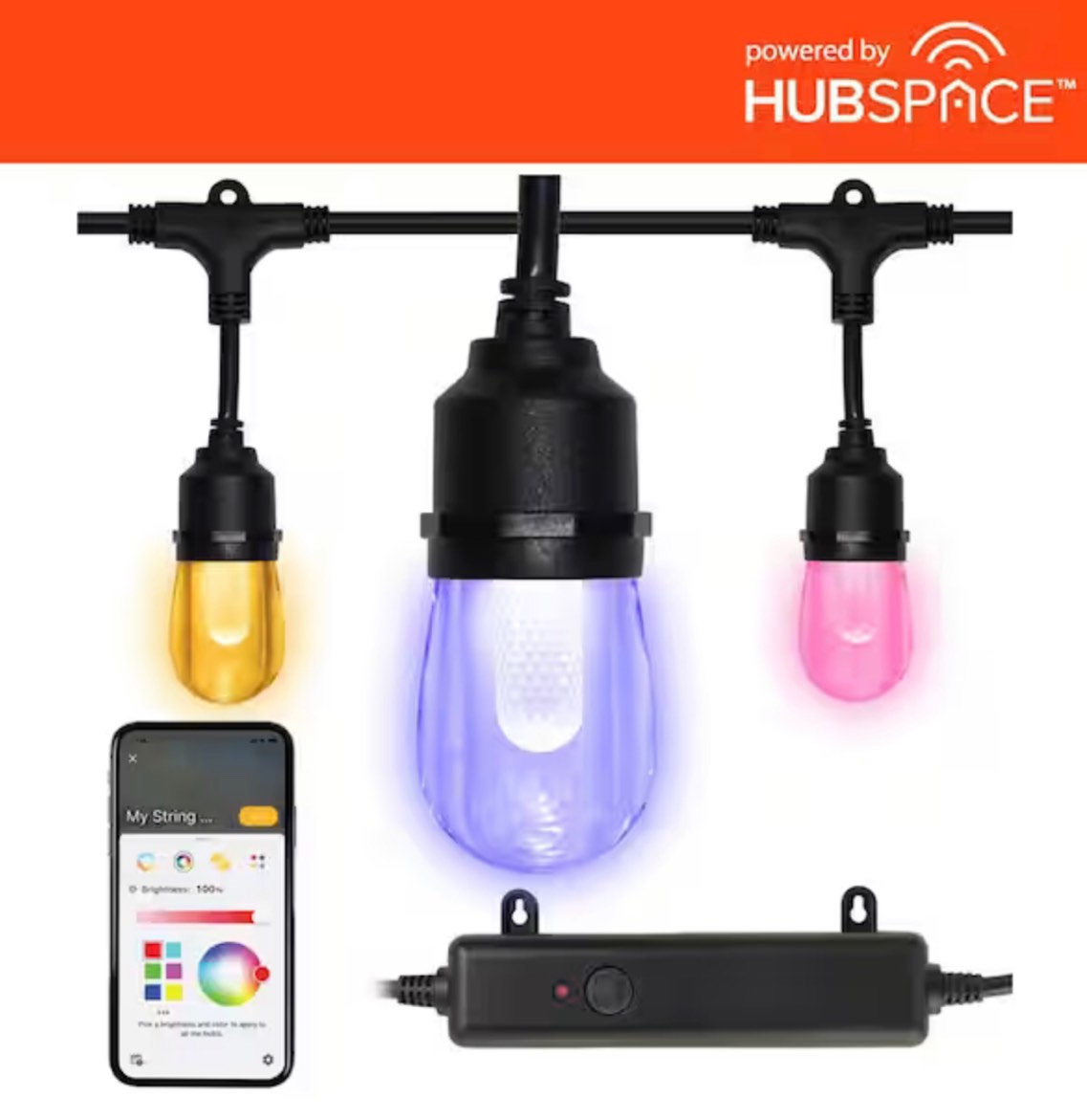 Indoor/Outdoor 12-Light 24 ft. Smart Plug-in Edison Bulb RGBW Color Changing LED String Light Powered by Hubspace