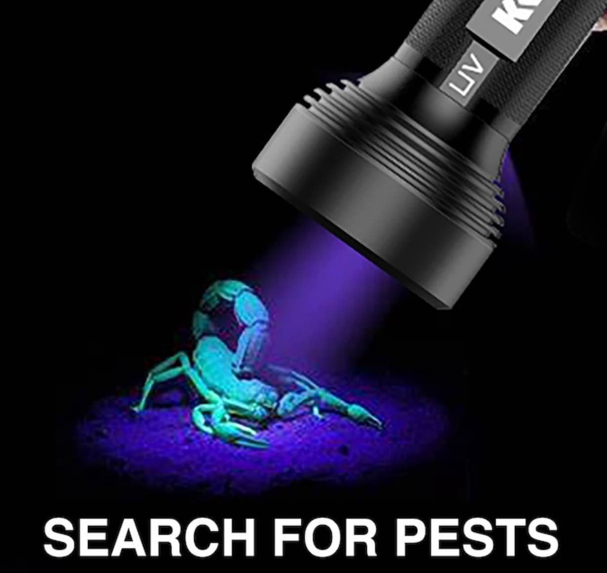 KOBALT Blacklight 51 Uv LED Flashlight