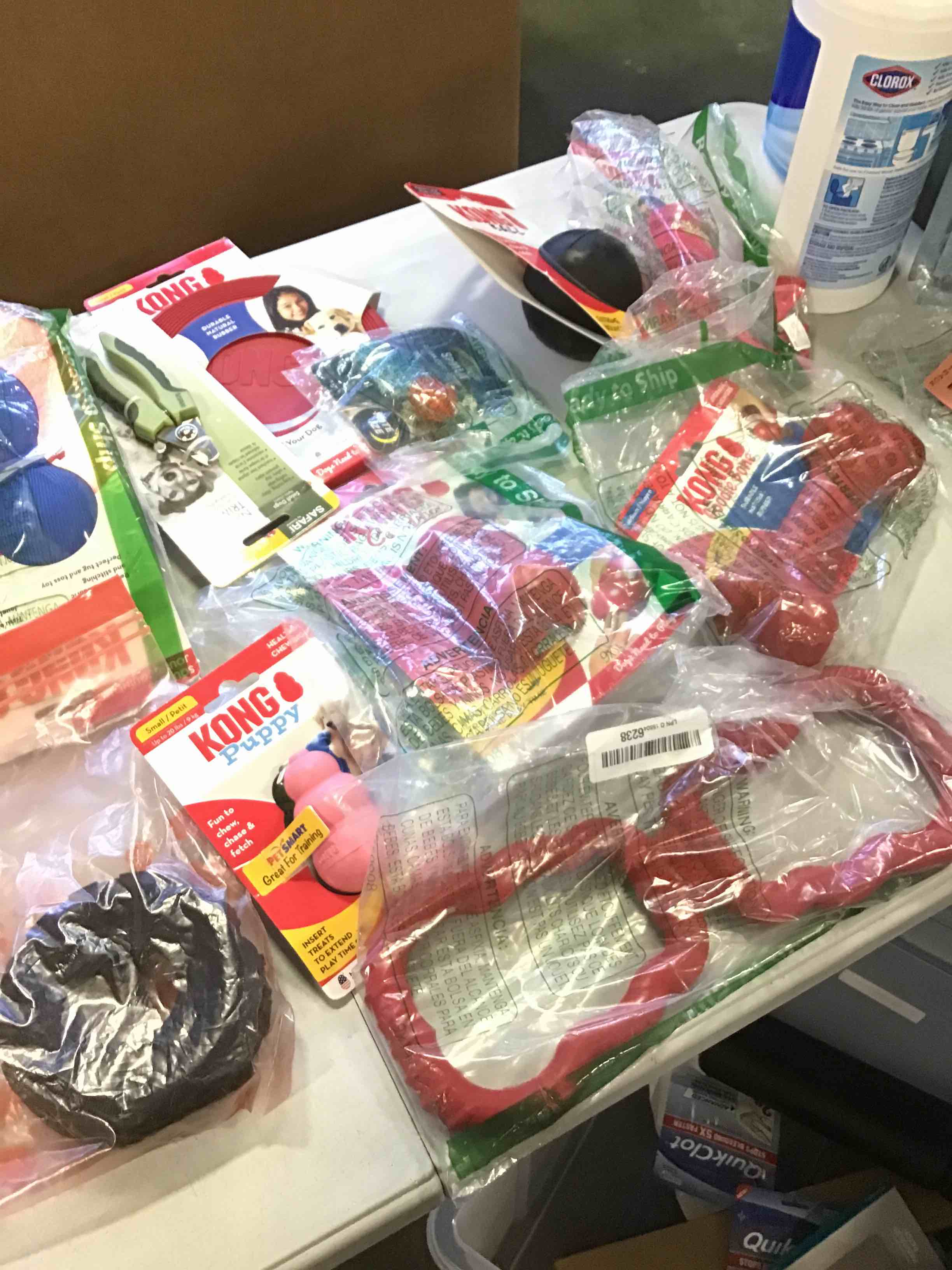 assorted accessories dog varying styles 