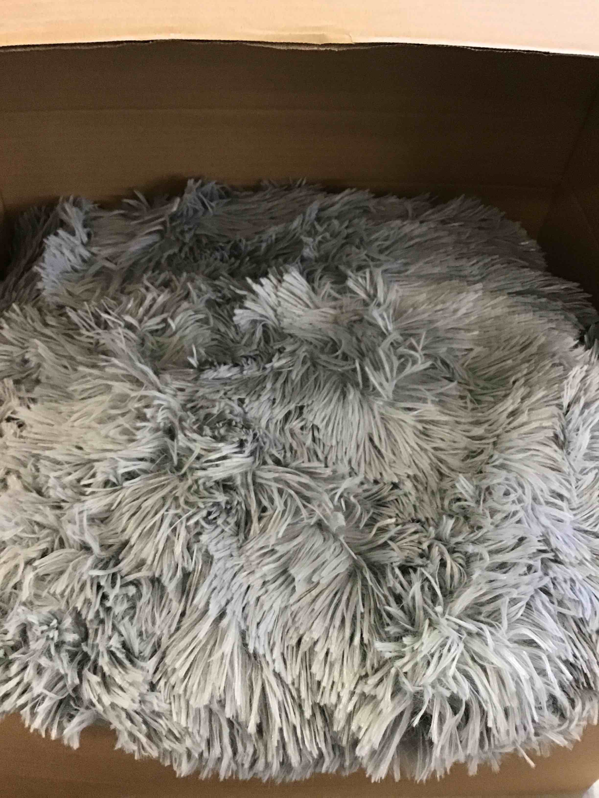 https://s3.amazonaws.com/lotting-images-prod/bidfta/RED5970587_1707762299402.jpeg