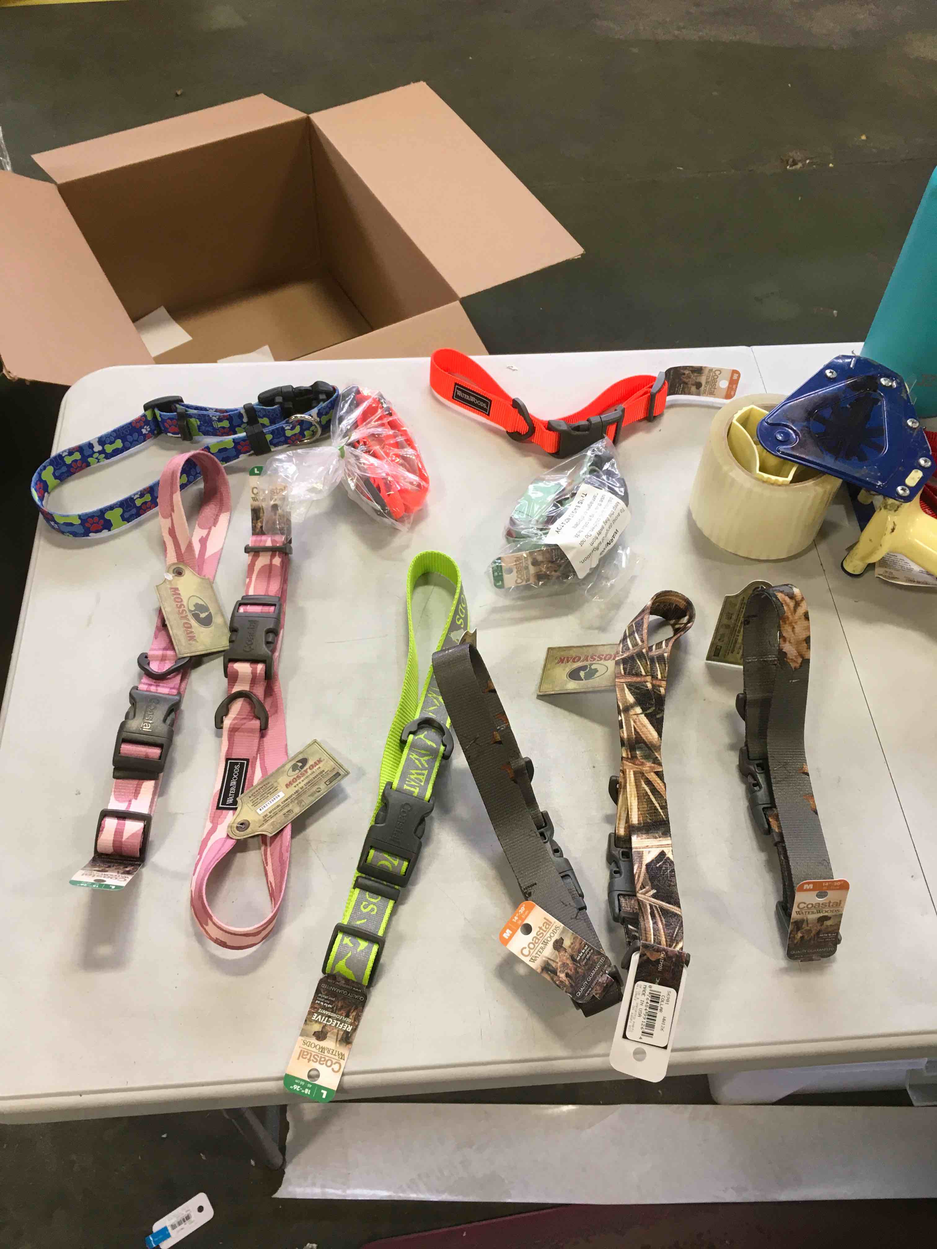 Assorted Pet Collars M and L