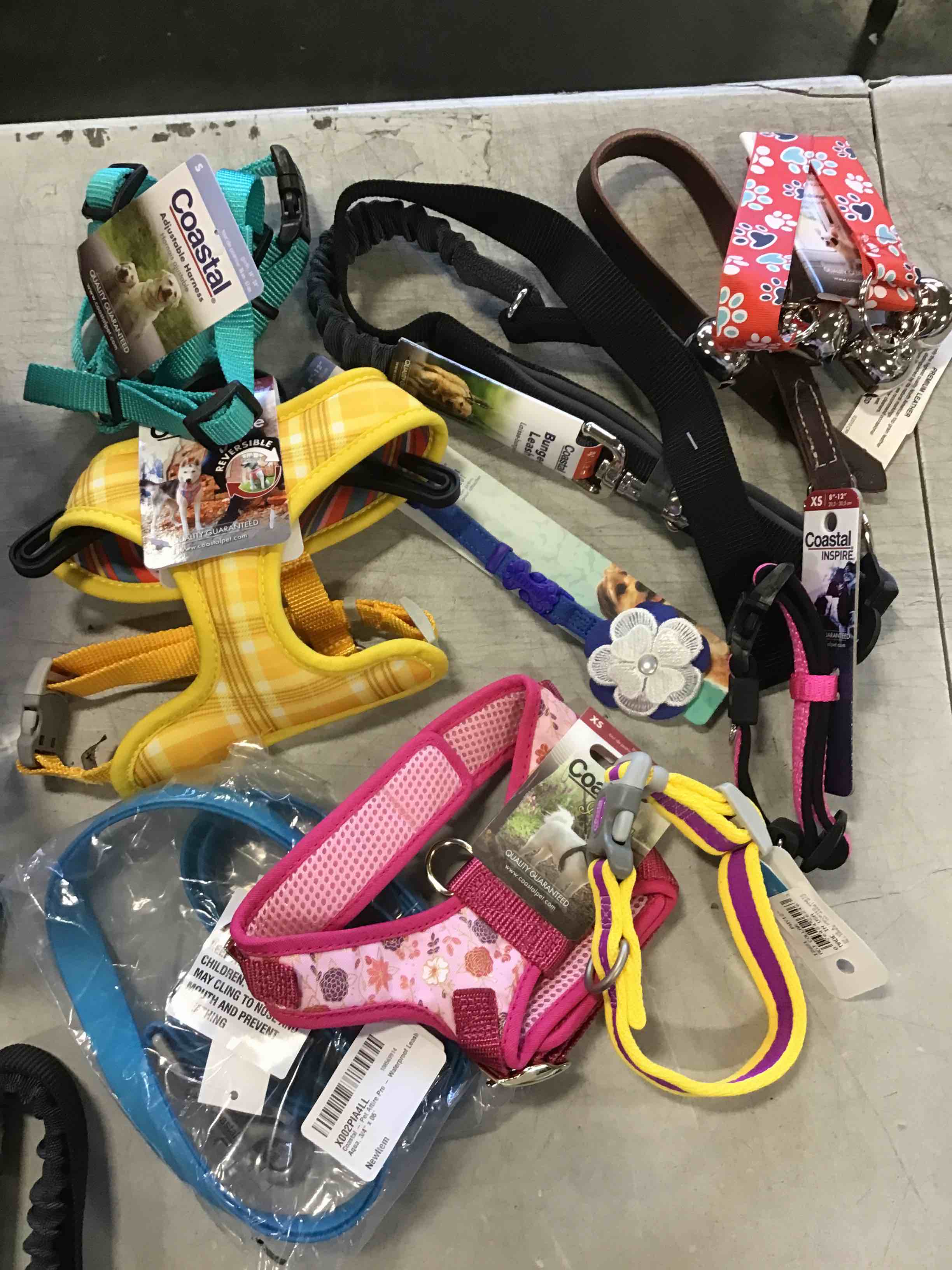 Assorted costal dog stuff