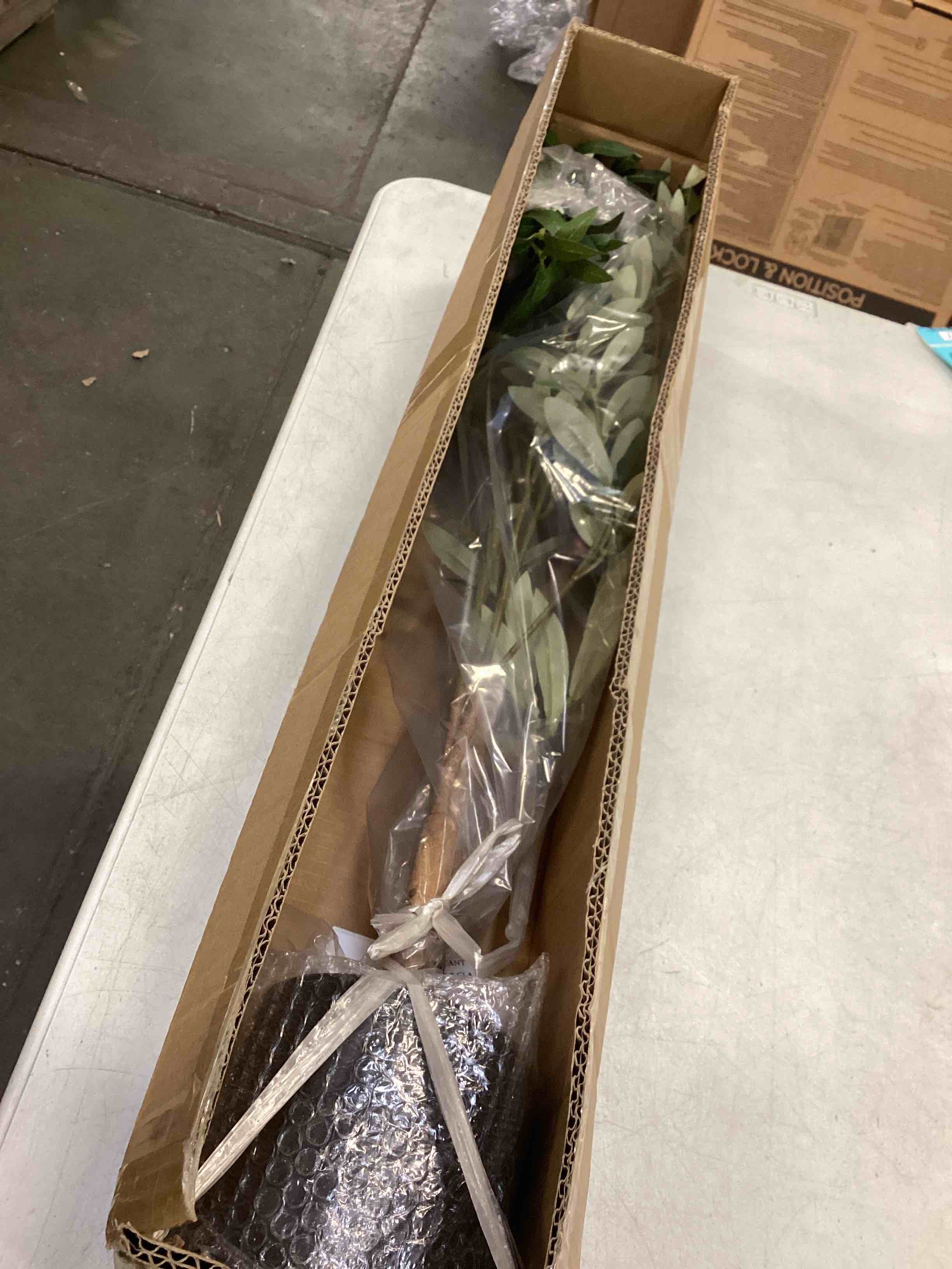 https://s3.amazonaws.com/lotting-images-prod/bidfta/RED5996472_1708791475912.jpeg