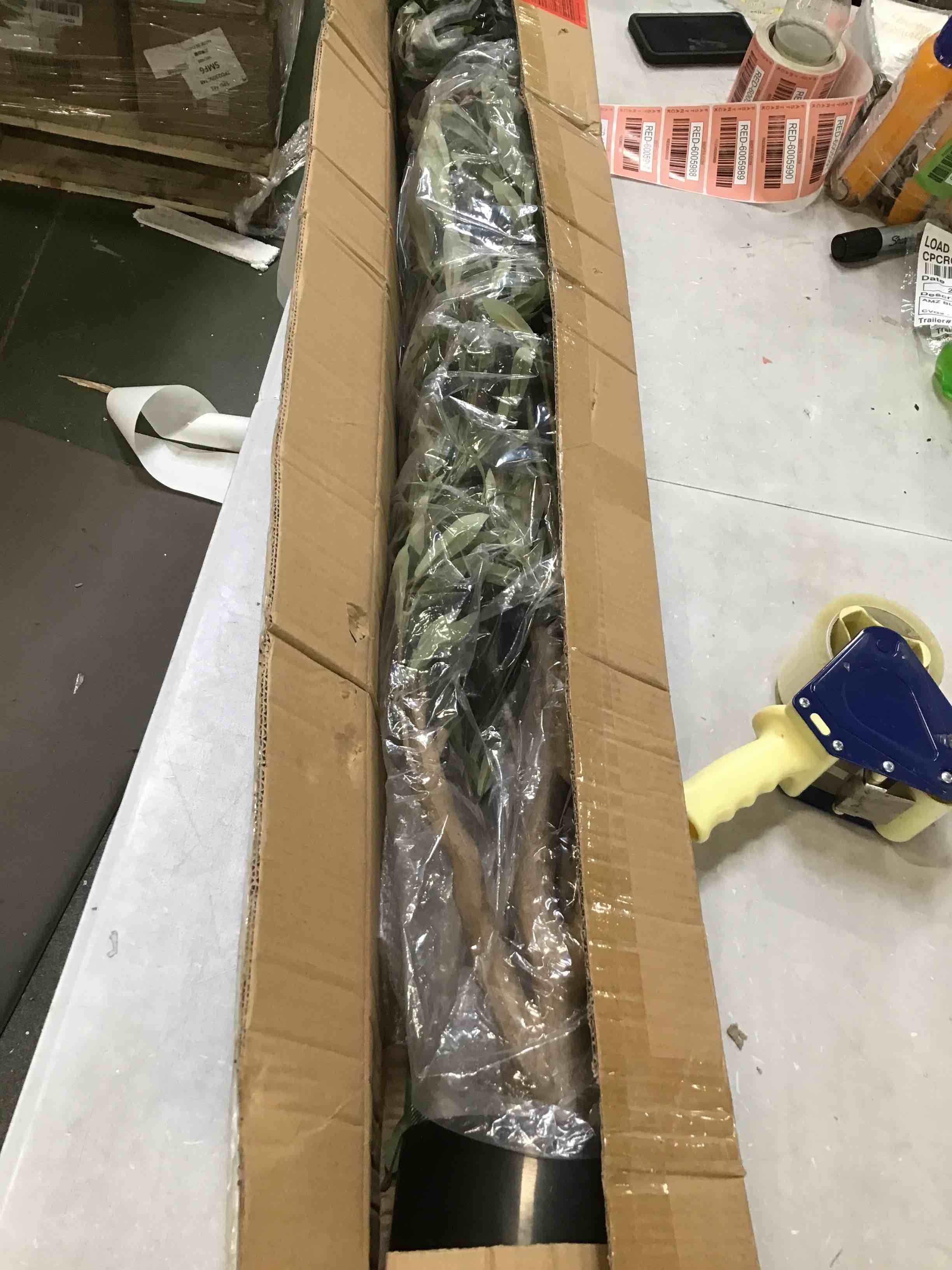 https://s3.amazonaws.com/lotting-images-prod/bidfta/RED6005979_1708714597218.jpeg