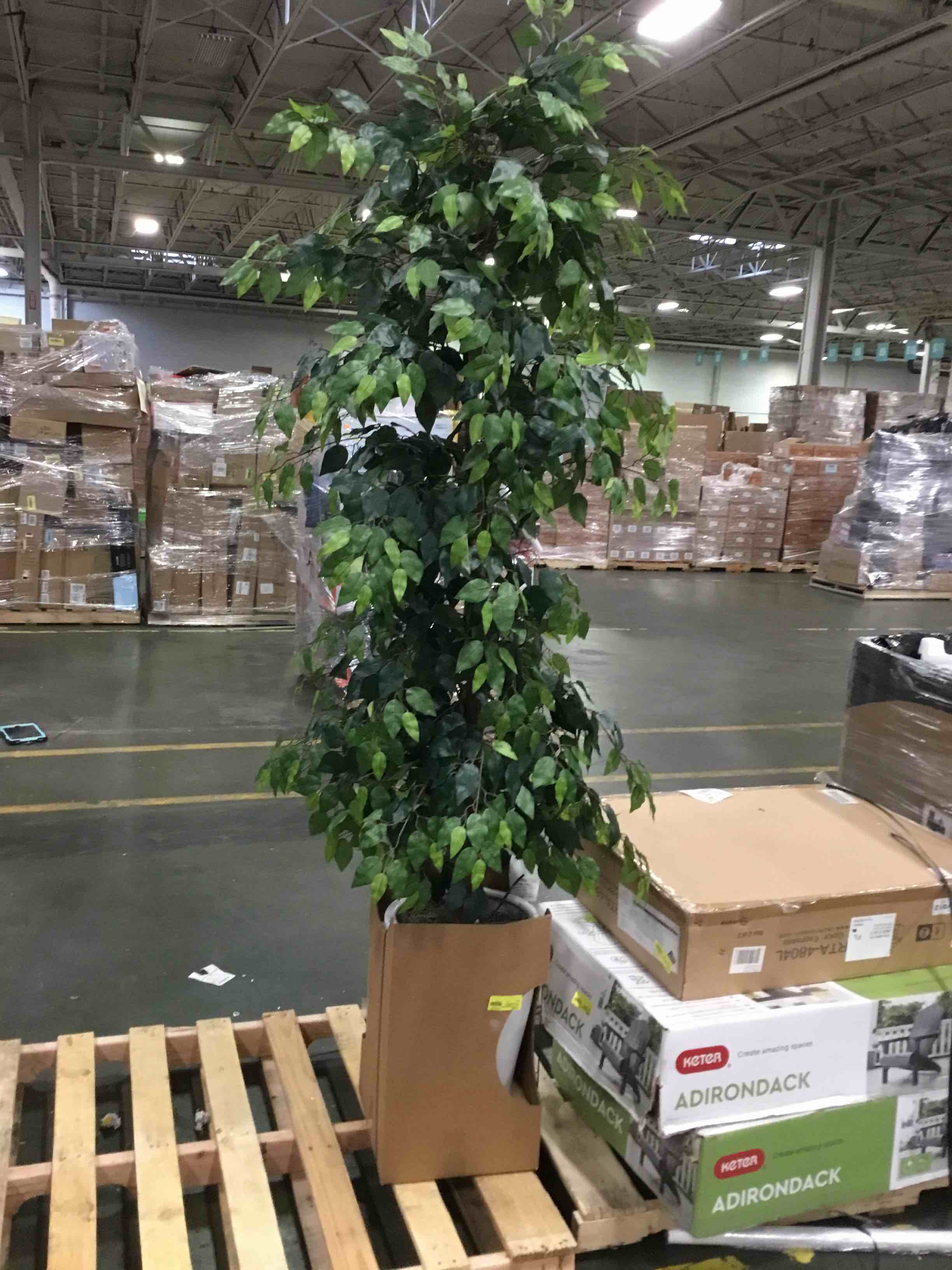 https://s3.amazonaws.com/lotting-images-prod/bidfta/RED6025926_1709819342191.jpeg