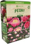 Member's Mark Peonies - Bowl of Beauty & Margaret Truman Plants