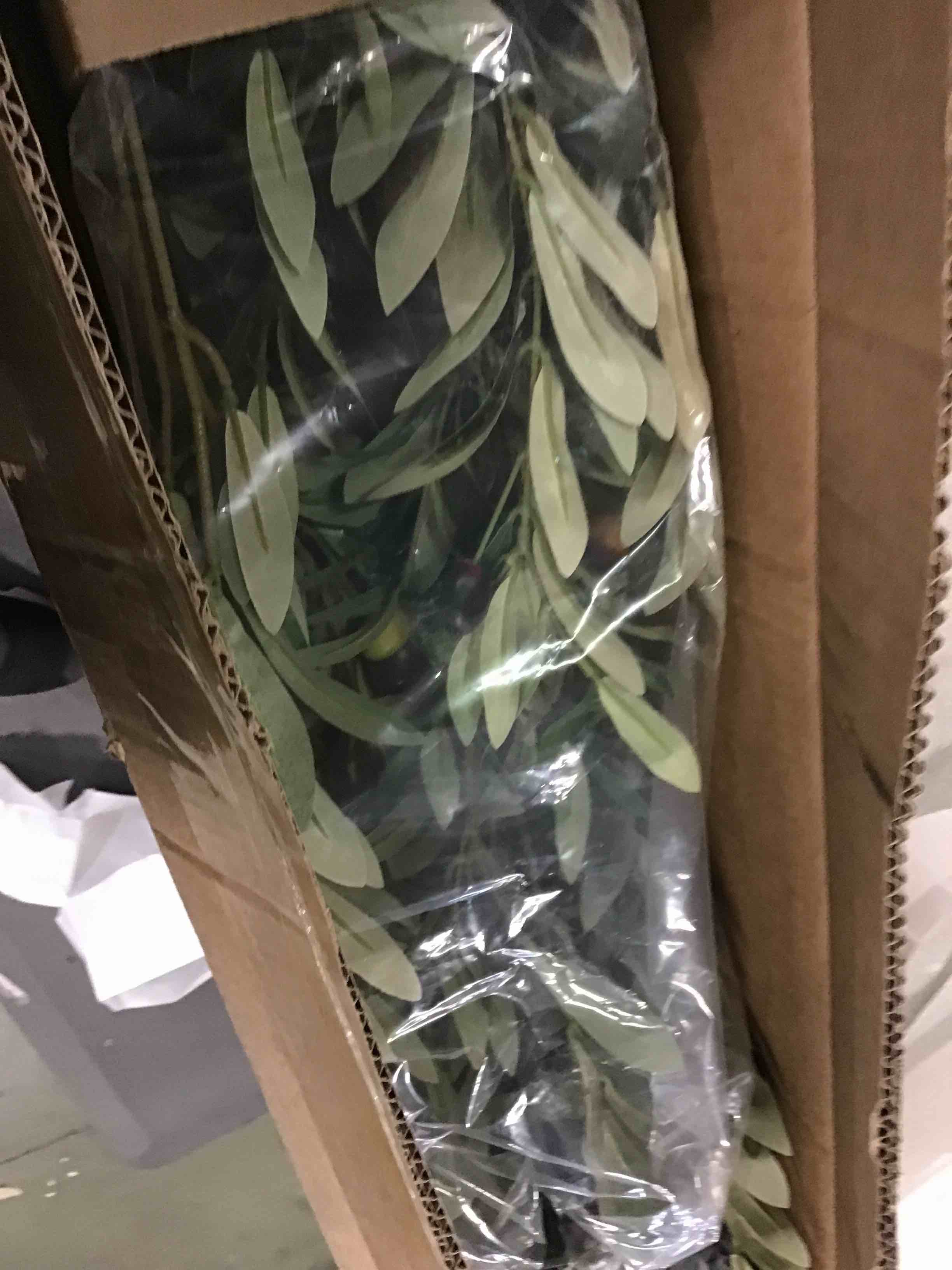 https://s3.amazonaws.com/lotting-images-prod/bidfta/RED6056680_1711544793918.jpeg
