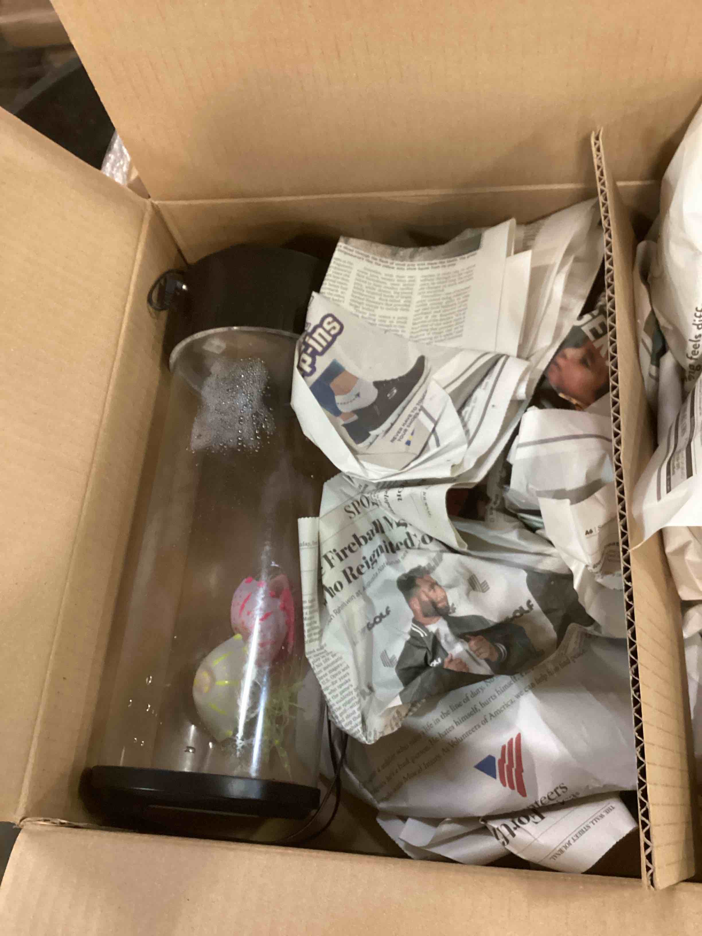 The Best Jellyfish Aquarium