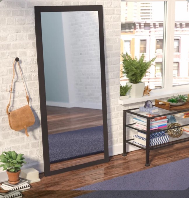 65" H x 30" W Sandersville Modern & Contemporary Wall Mirror(similar to the photo)