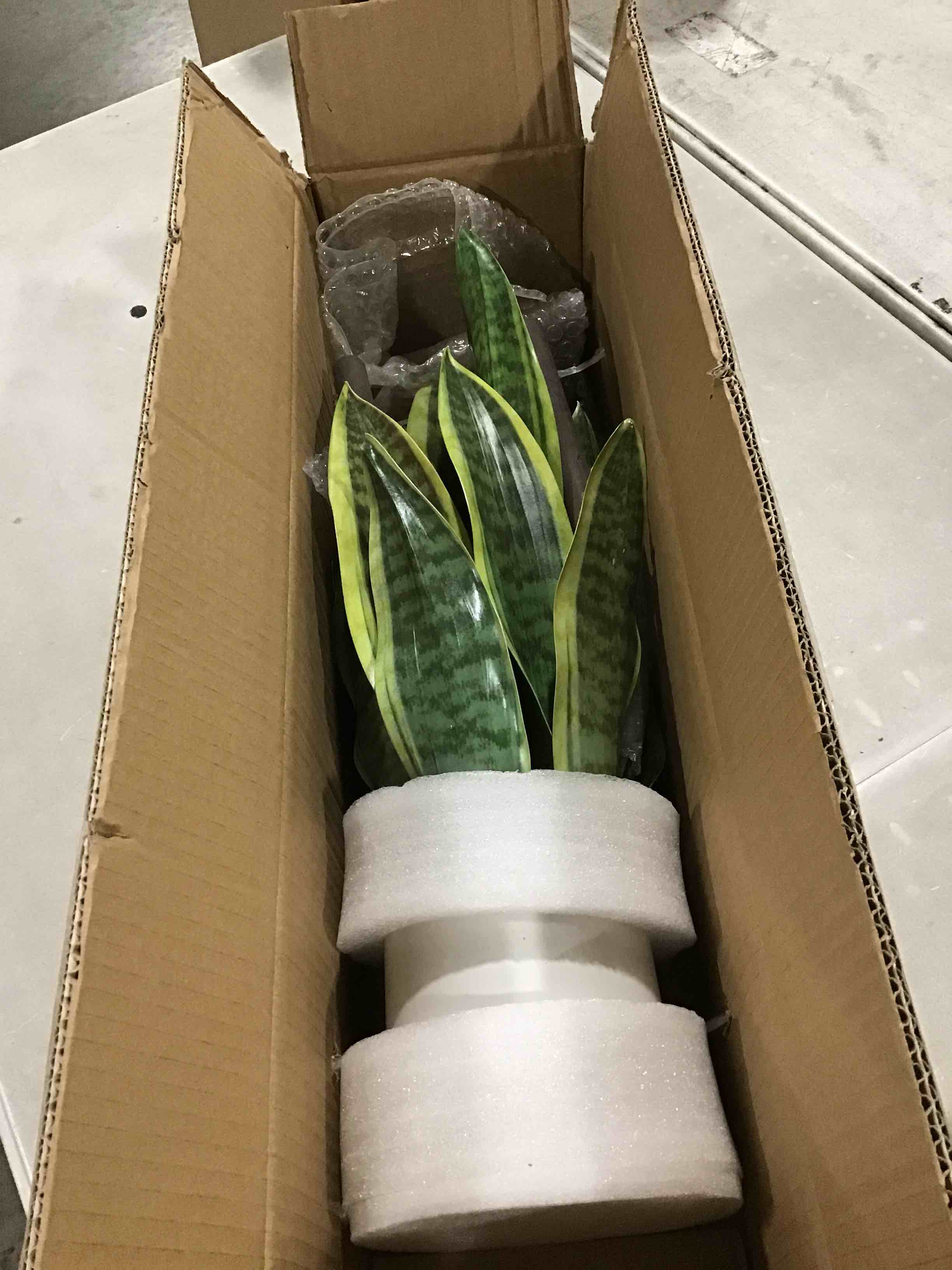 https://s3.amazonaws.com/lotting-images-prod/bidfta/RED6105052_1716408777416.jpeg
