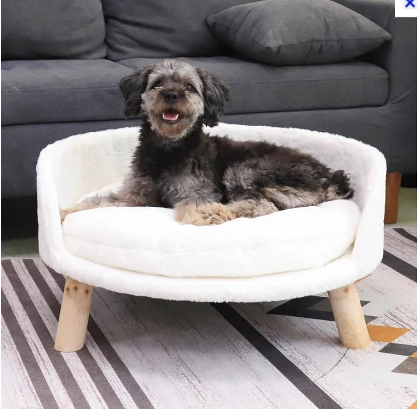 Nott Dog Sofa with Removeable Padded Cushion