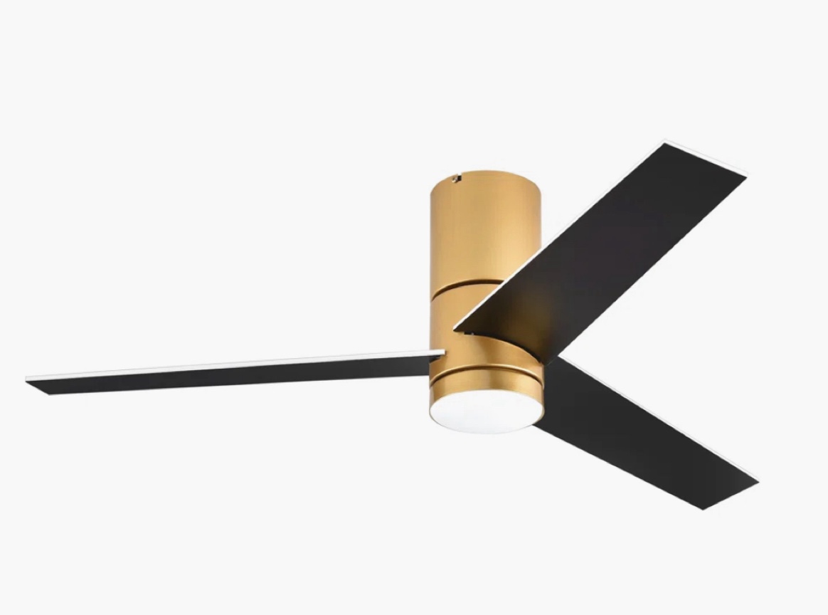 Diogenis 48'' Ceiling Fan with LED Lights and Remote Control