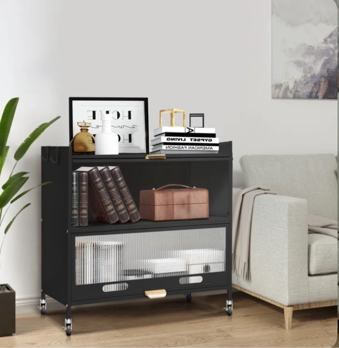 Ariana 31.5" Tall Steel 2 - Door Accent Cabinet