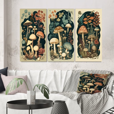 " Vintage Mushrooms Amanita Muscaria " 3 - Pieces on Canvas