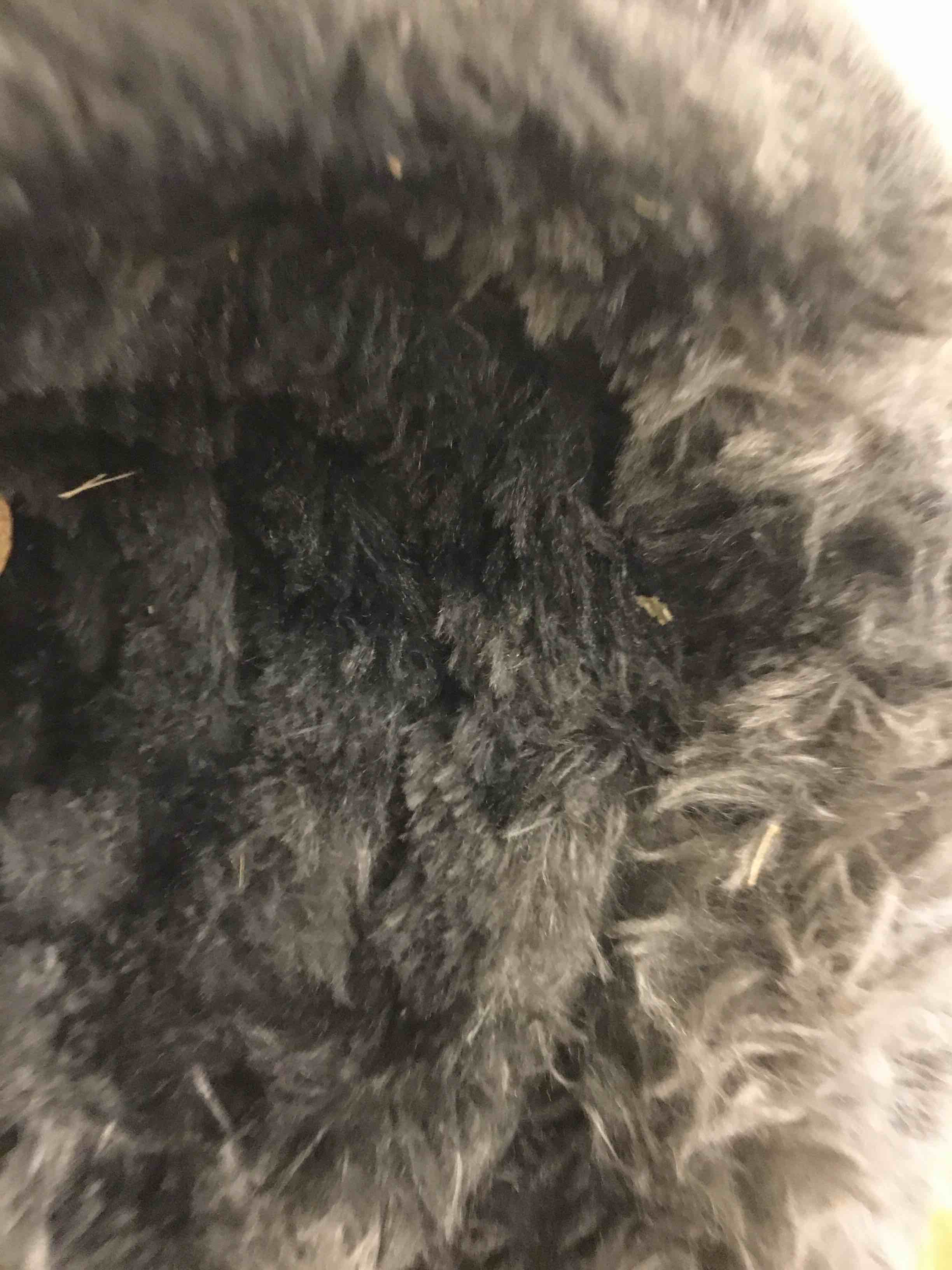 Grey Shag Fur Rug