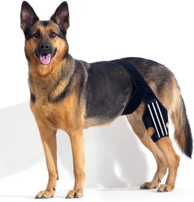 BENCMATE Adjustable Dog Knee Brace, Universal Designed for All Four Limbs, Dog ACL Hind Leg Brace, Dog CCL Brace, Support with Cruciate Ligament Injury, Joint Pain and Muscle Sore (Black, Large)