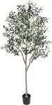 Olive Tree Artificial Indoor 6FT (72''), GTIDEA Artificial Tree Indoor Large Faux Olive Tree and Fruits Artificial Plants Silk Trees for Home Decor Office Living Room Spring (With Woven Basket & Moss)