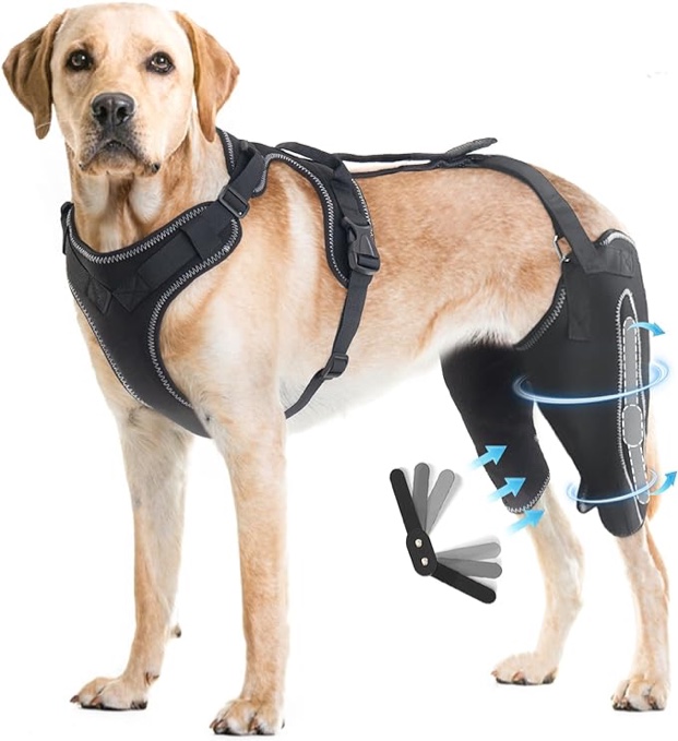 KALLODEAR Dog Knee Brace, Dog Leg Braces for Back Leg, Dog Knee Brace for Torn ACL Hind Leg, Dog ACL Brace Hind Leg, with Metal Side Stabilizers and Connection Belt (Medium)