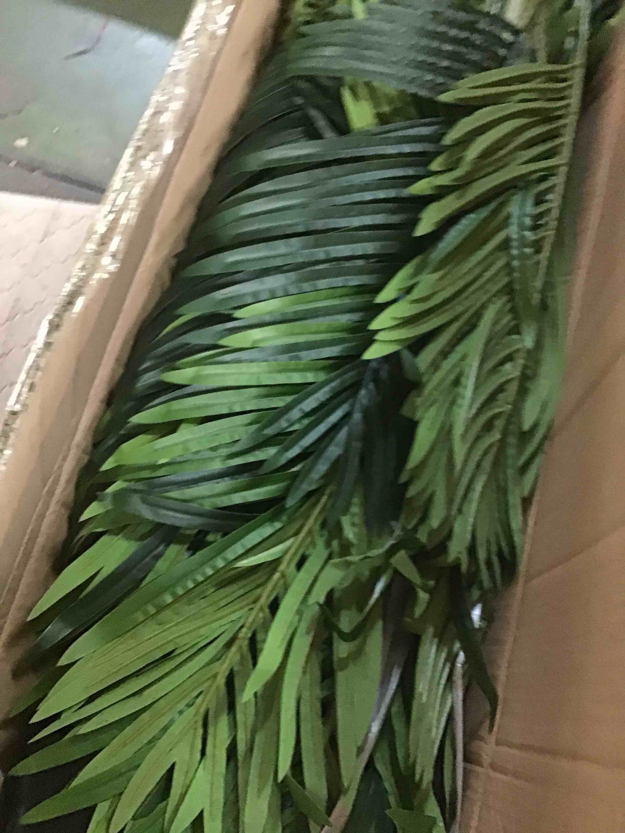 https://s3.amazonaws.com/lotting-images-prod/bidfta/RED6230578_1714134054788.jpeg