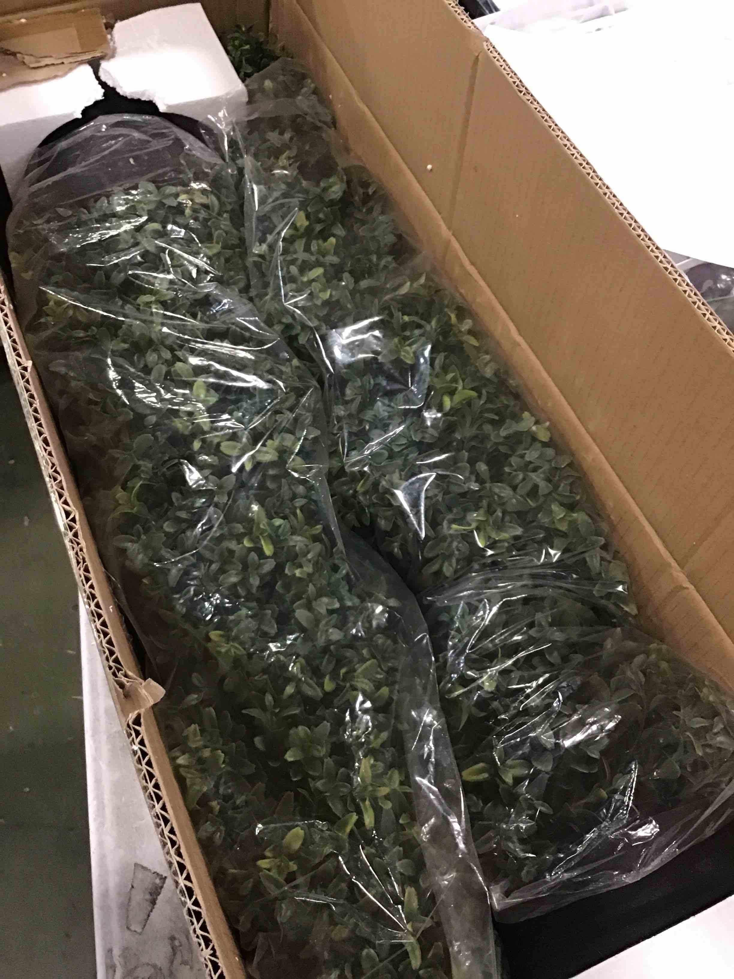 https://s3.amazonaws.com/lotting-images-prod/bidfta/RED6236564_1714062441936.jpeg