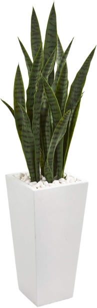 Faux Dracaena Plant