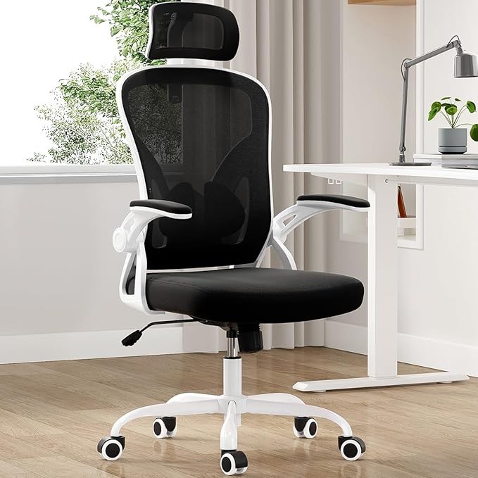 Farini Ergonomic Office Chair, Mesh Office Desk Chair with Headrest, High Back Computer Chair with Flip-up Armrests and Adjustable Lumbar Support.for Home Office Study Room Bedroom, White
