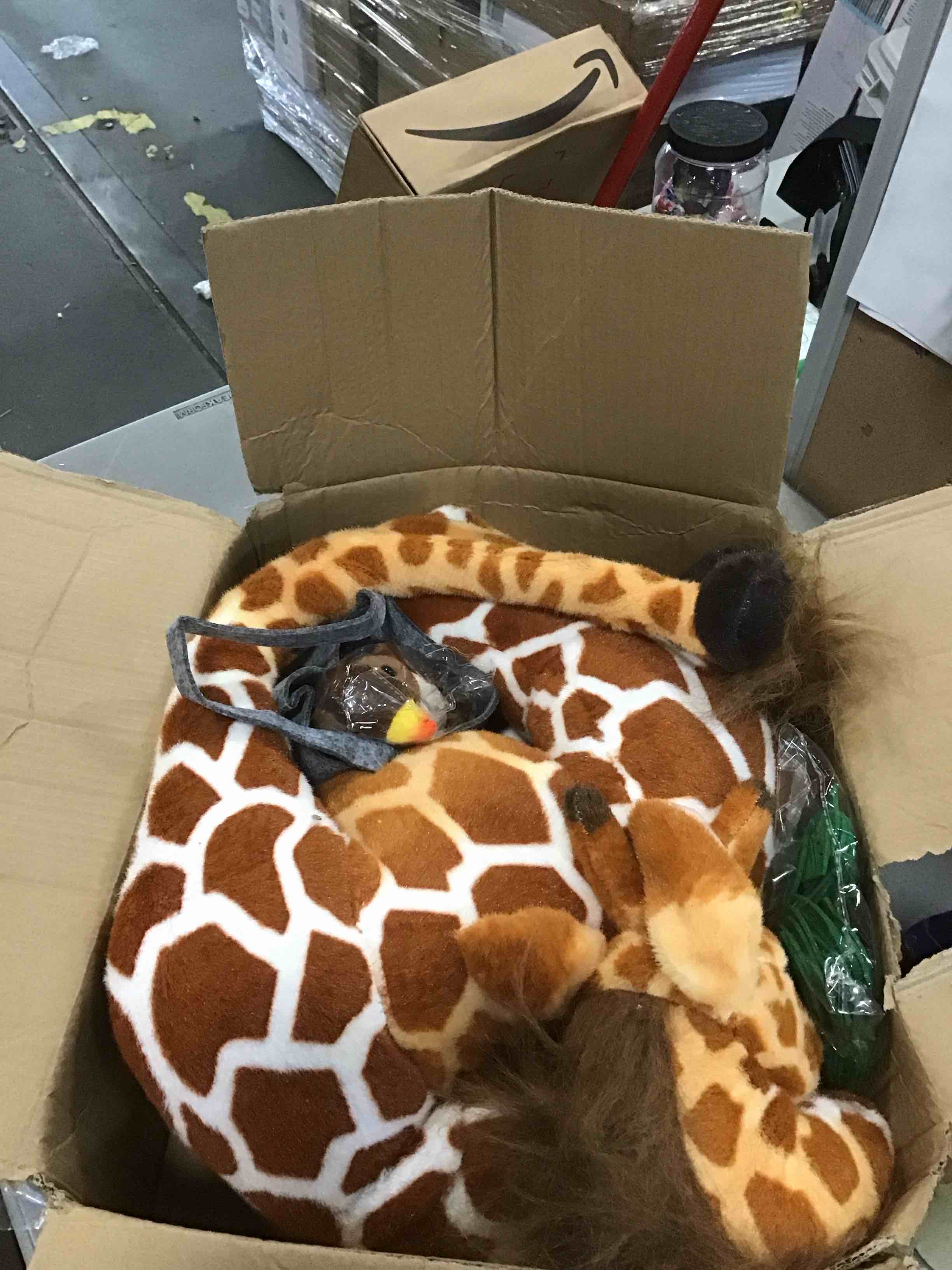 https://s3.amazonaws.com/lotting-images-prod/bidfta/RED6332694_1711984450496.jpeg