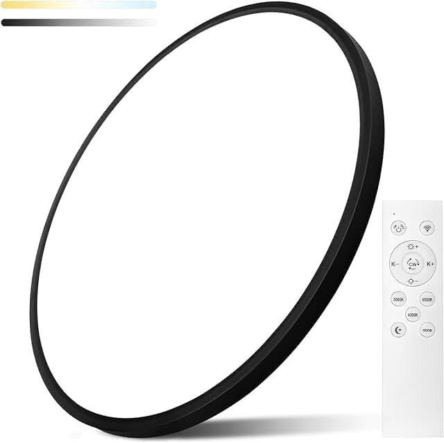 56W Dimmable LED Flush Mount Ceiling Light, 24 Inch Large Modern Round Ceiling Light with Remote Control, 3000K-6500K Selectable, Super Slim Flat Panel Lights for Bedroom Kitchen Living Dining Room