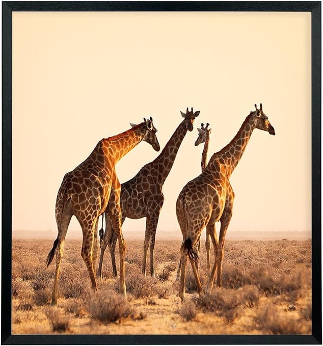 Mxtallup 22x24 Picture Frames Solid Wood 22x24 Poster Frame for Wall 22x24 Photo Frames Family Black (T22B2224)