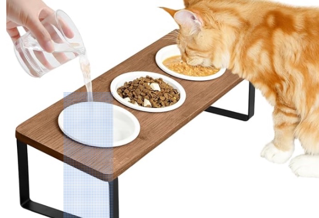 Raised Cat Food Water Bowl Elevated Tilted Kitty Dishes Set of 3 Ceramic Dish for Indoor Cats Orthopedic Pet Food Stand Anti Vomiting 3 Bowl Cat Feeder Easy Assembly