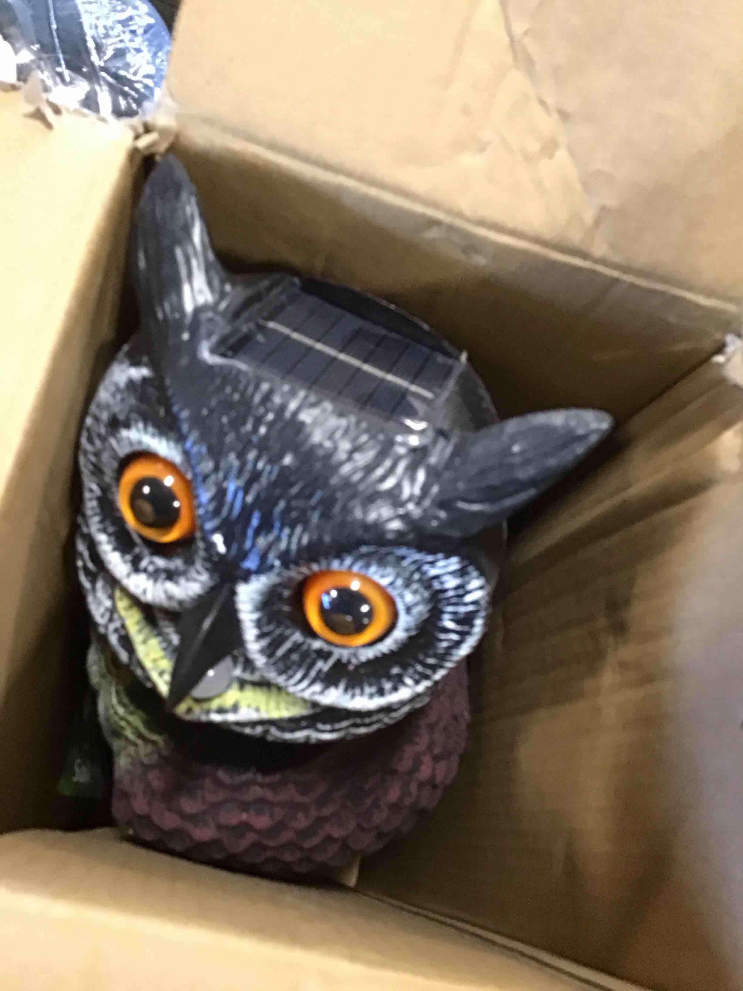 https://s3.amazonaws.com/lotting-images-prod/bidfta/RED6396283_1718286547301.jpeg
