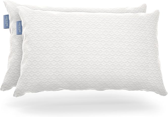 DreamyBlue Premium Pillow for Sleeping - Shredded Memory Foam Fill [Adjustable Loft] Washable Cover from Bamboo Derived Rayon - for Side, Back, Stomach Sleepers - CertiPUR-US Certified (Queen, White) Queen (Pack of 1) White