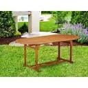 Rahul Solid Wood Dining Table