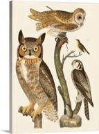 Wilson Owls I Wall Art
