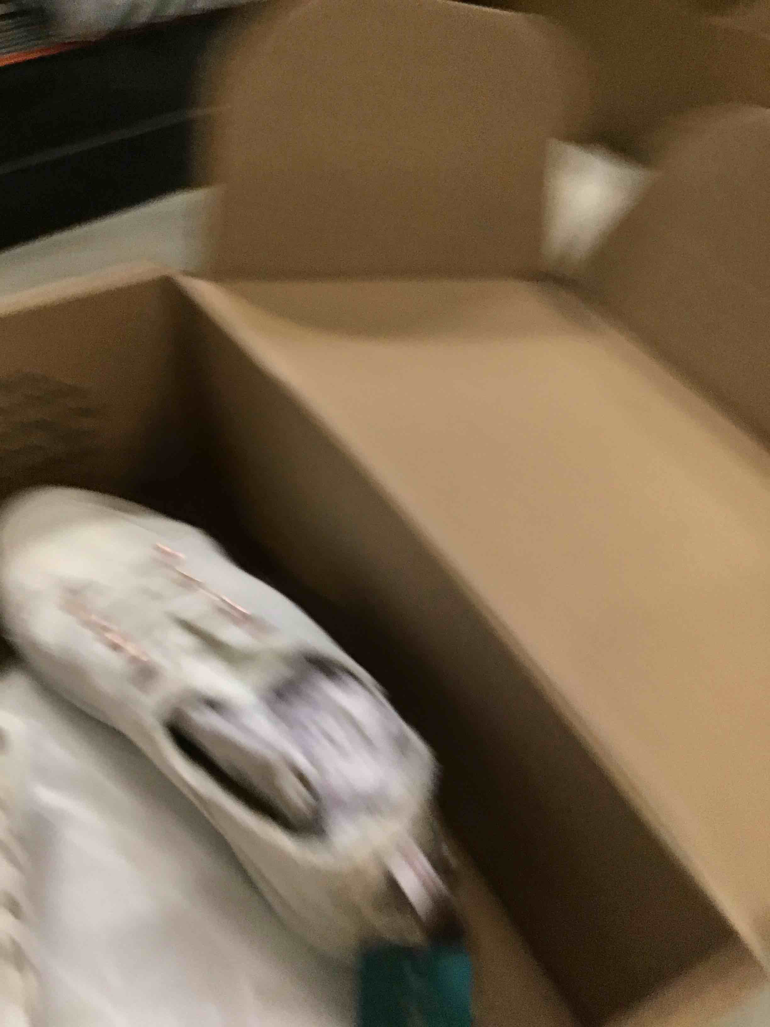 https://s3.amazonaws.com/lotting-images-prod/bidfta/RED6476605_1717676492993.jpeg