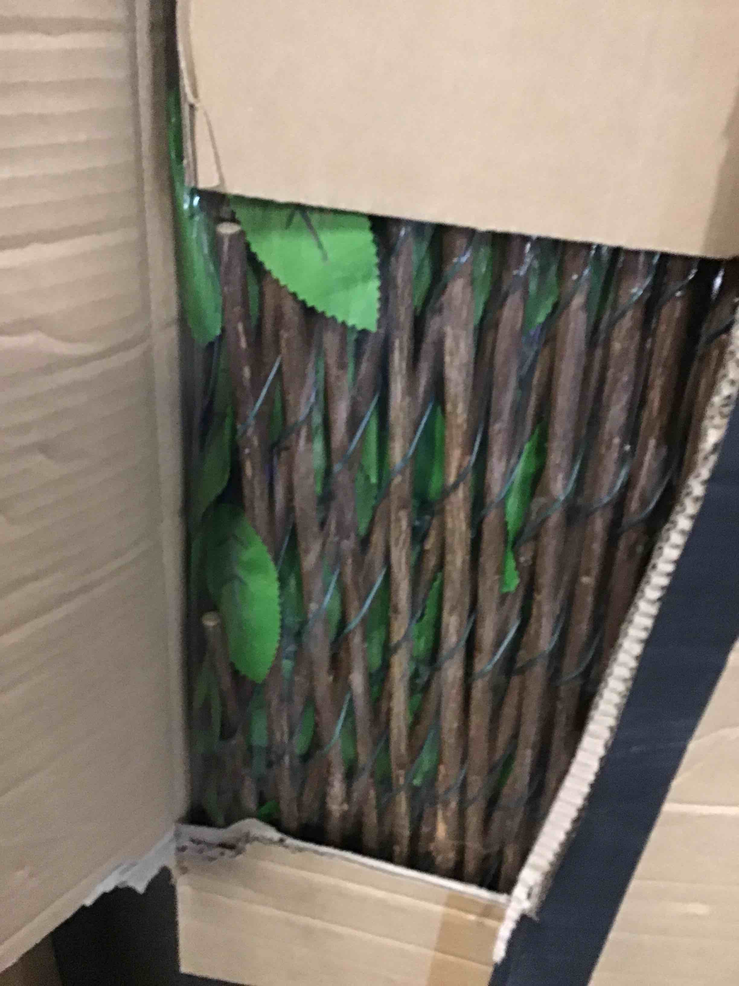 https://s3.amazonaws.com/lotting-images-prod/bidfta/RED6492146_1719967487302.jpeg