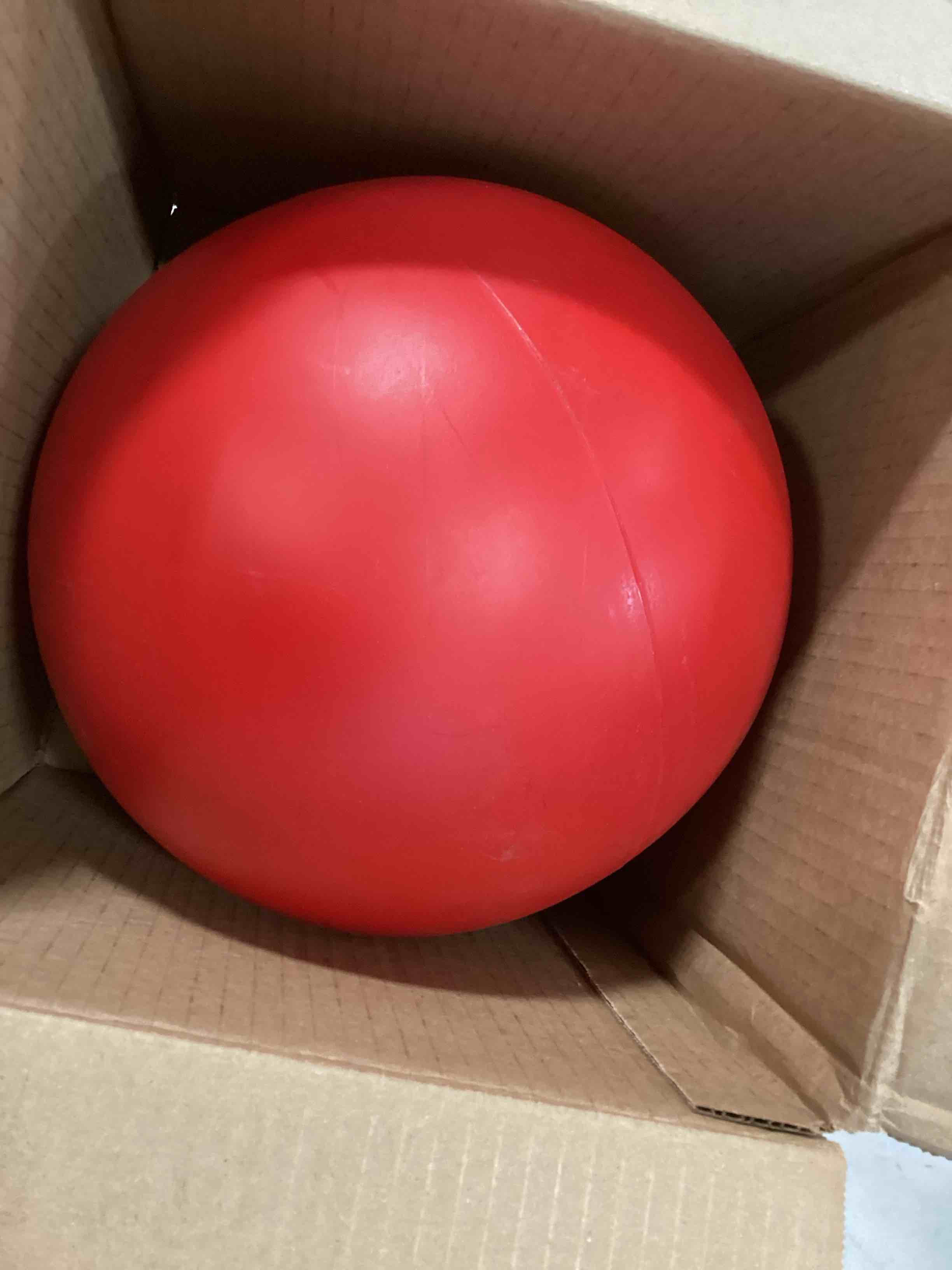 https://s3.amazonaws.com/lotting-images-prod/bidfta/RED6508402_1716909521523.jpeg
