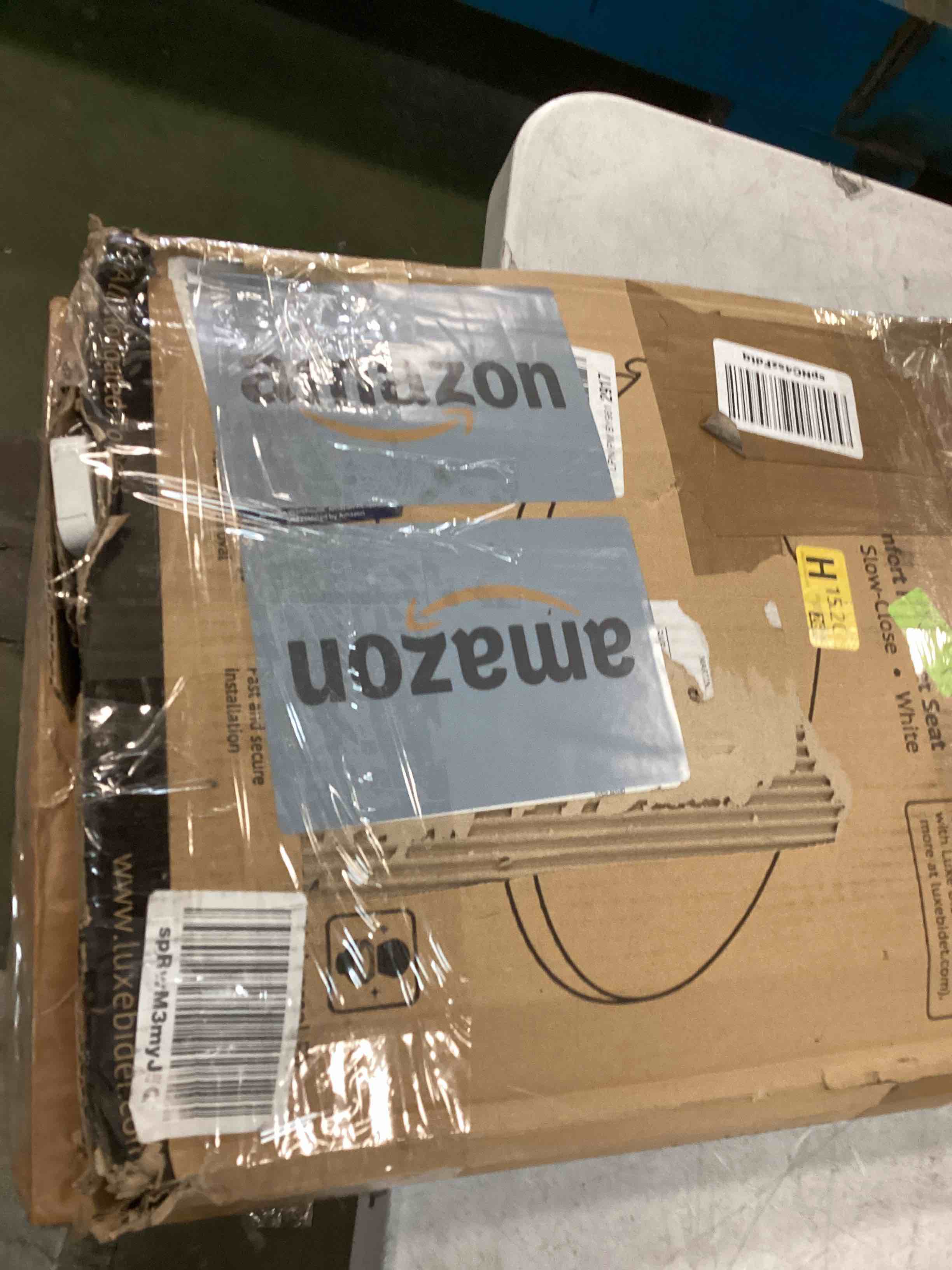 Assorted of toilet seat 