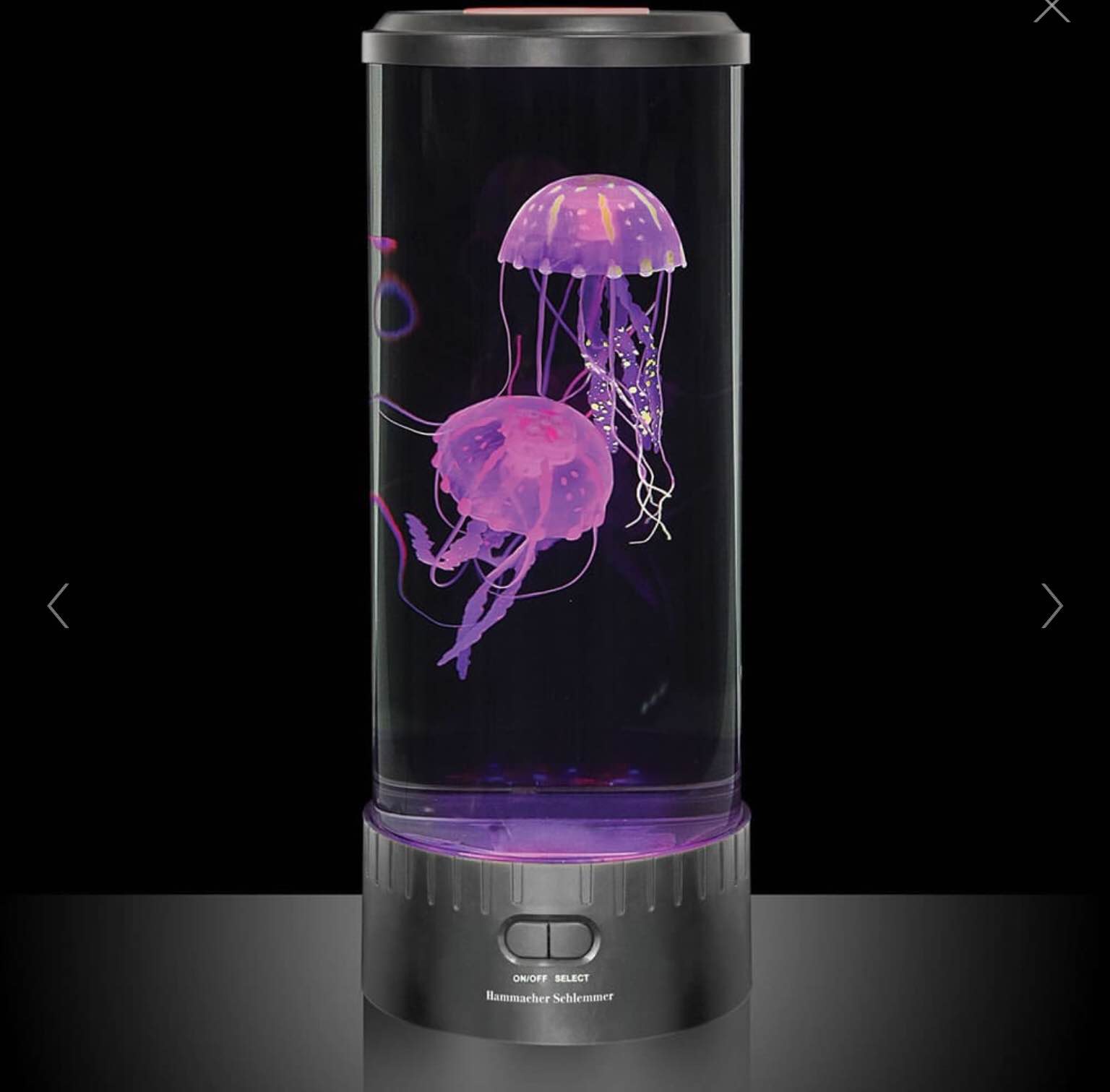 The Best Jellyfish Aquarium