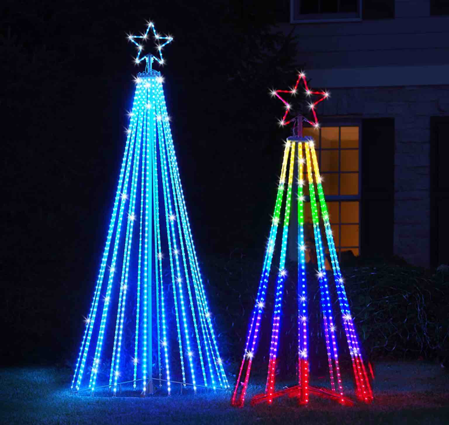 The Choreographed Light Show Tree