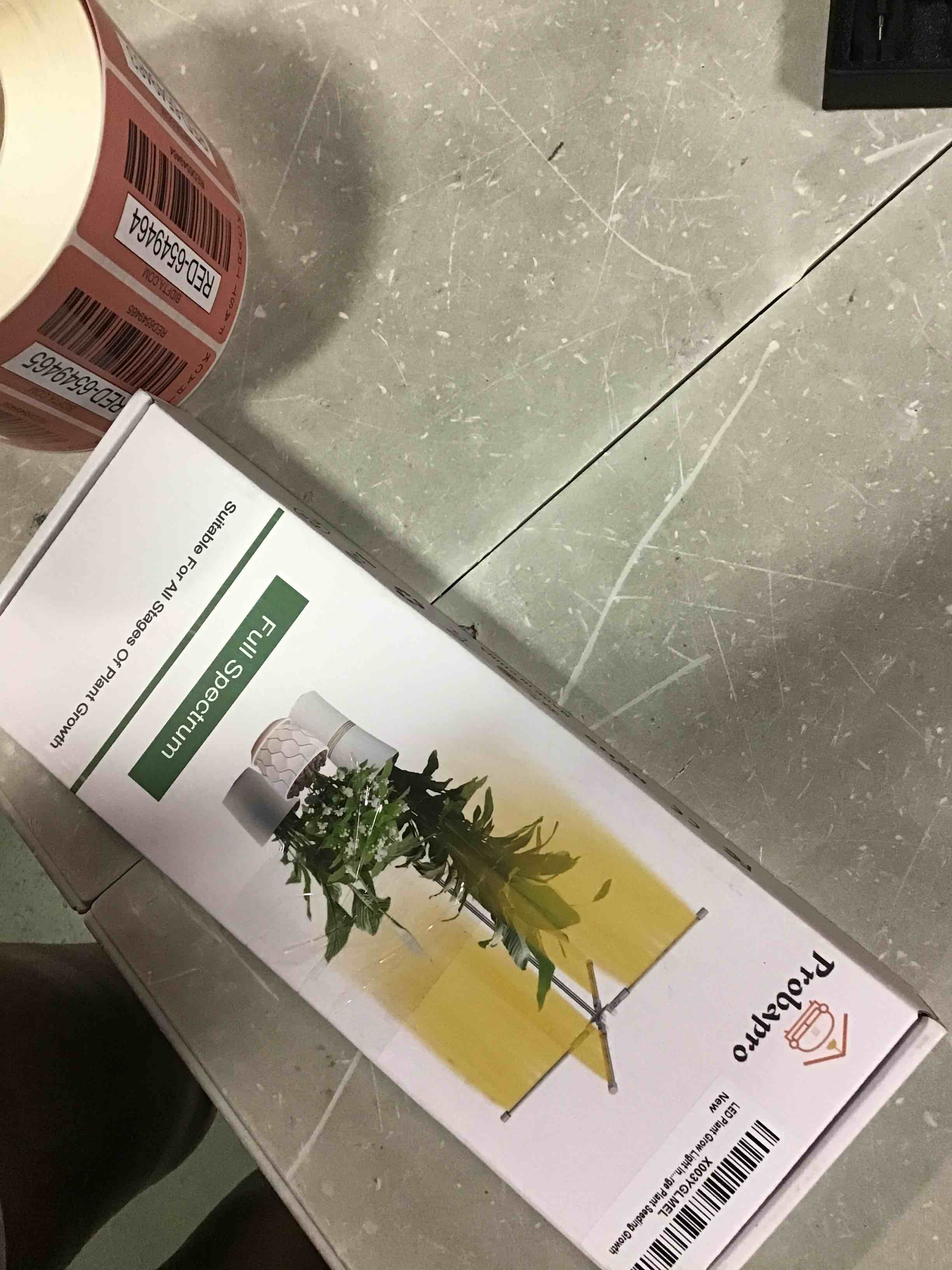 https://s3.amazonaws.com/lotting-images-prod/bidfta/RED6549459_1716906225467.jpeg