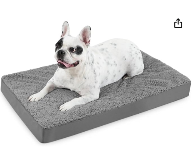 Extra small dog bed forge orthopedic 22 x 13