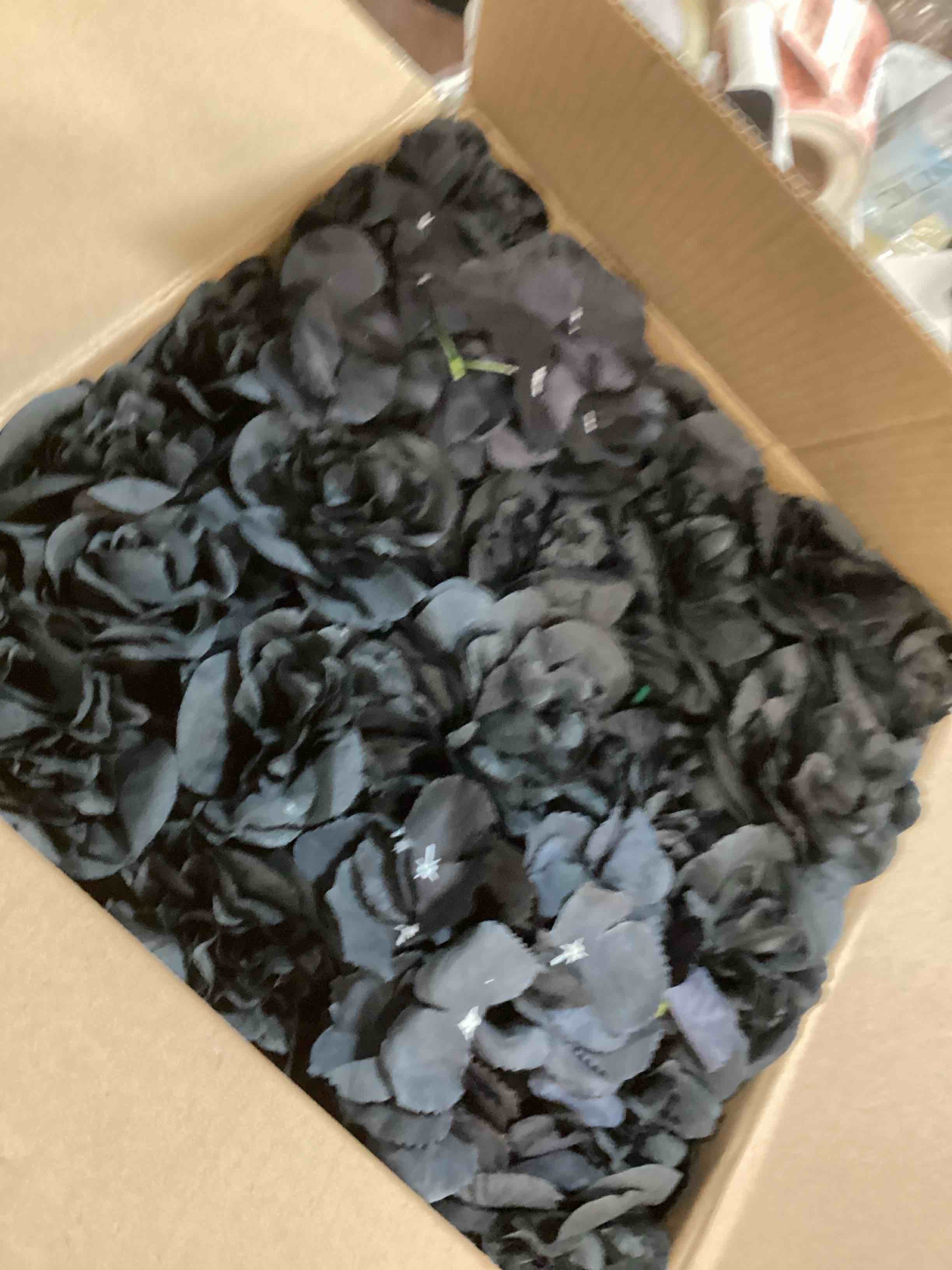 https://s3.amazonaws.com/lotting-images-prod/bidfta/RED6588933_1718796328450.jpeg