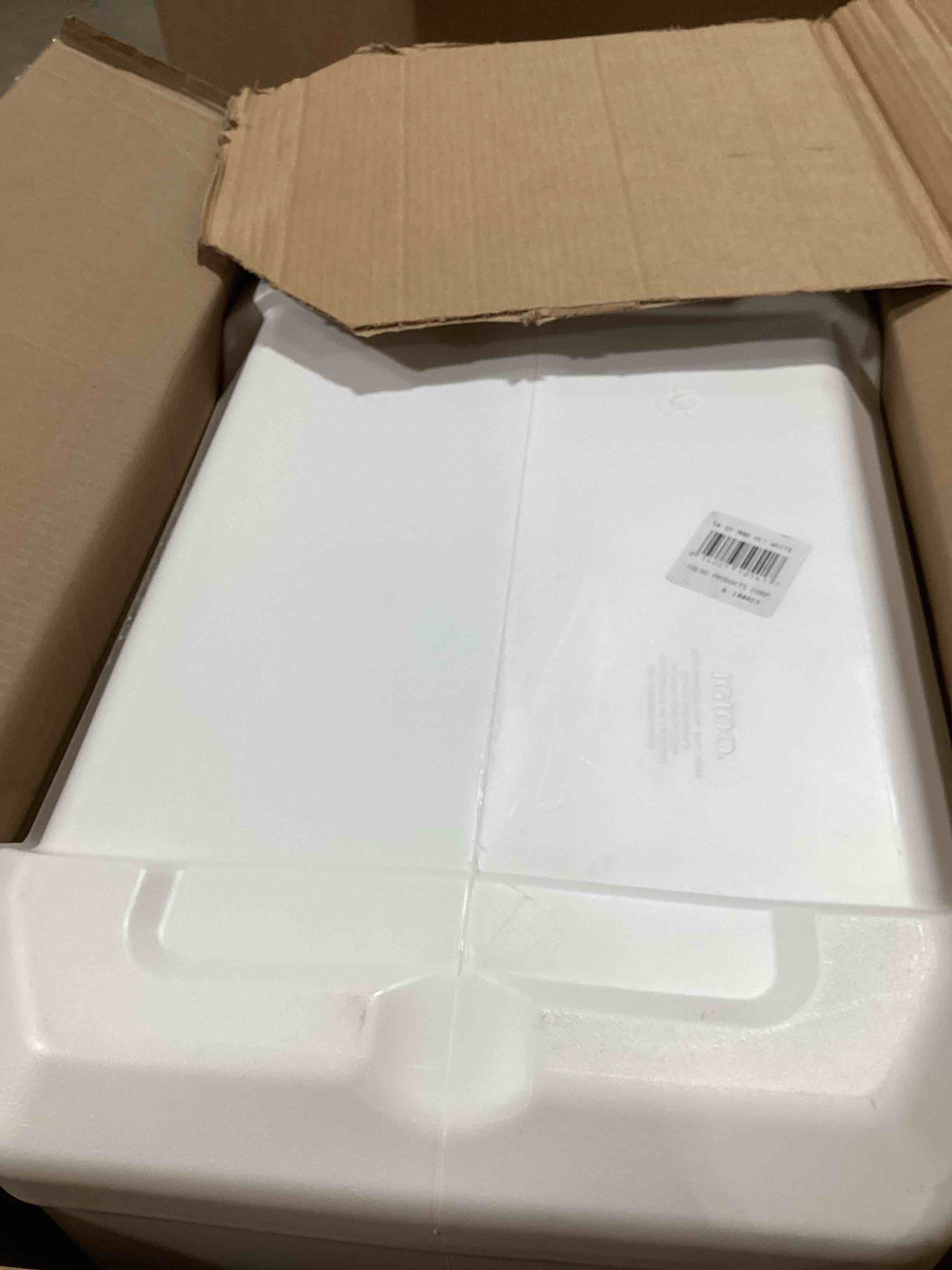 https://s3.amazonaws.com/lotting-images-prod/bidfta/RED6652590_1729687829808.jpeg