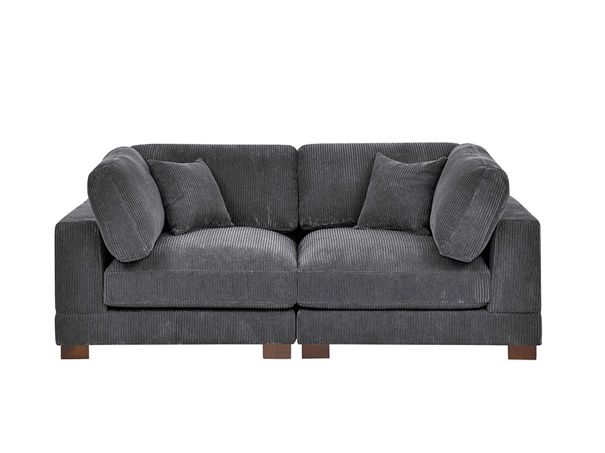 2-Seat Sofa Grey Sectional Modular Couch for Small Spaces ( Base And cushion /incomplete /  sofa ) 