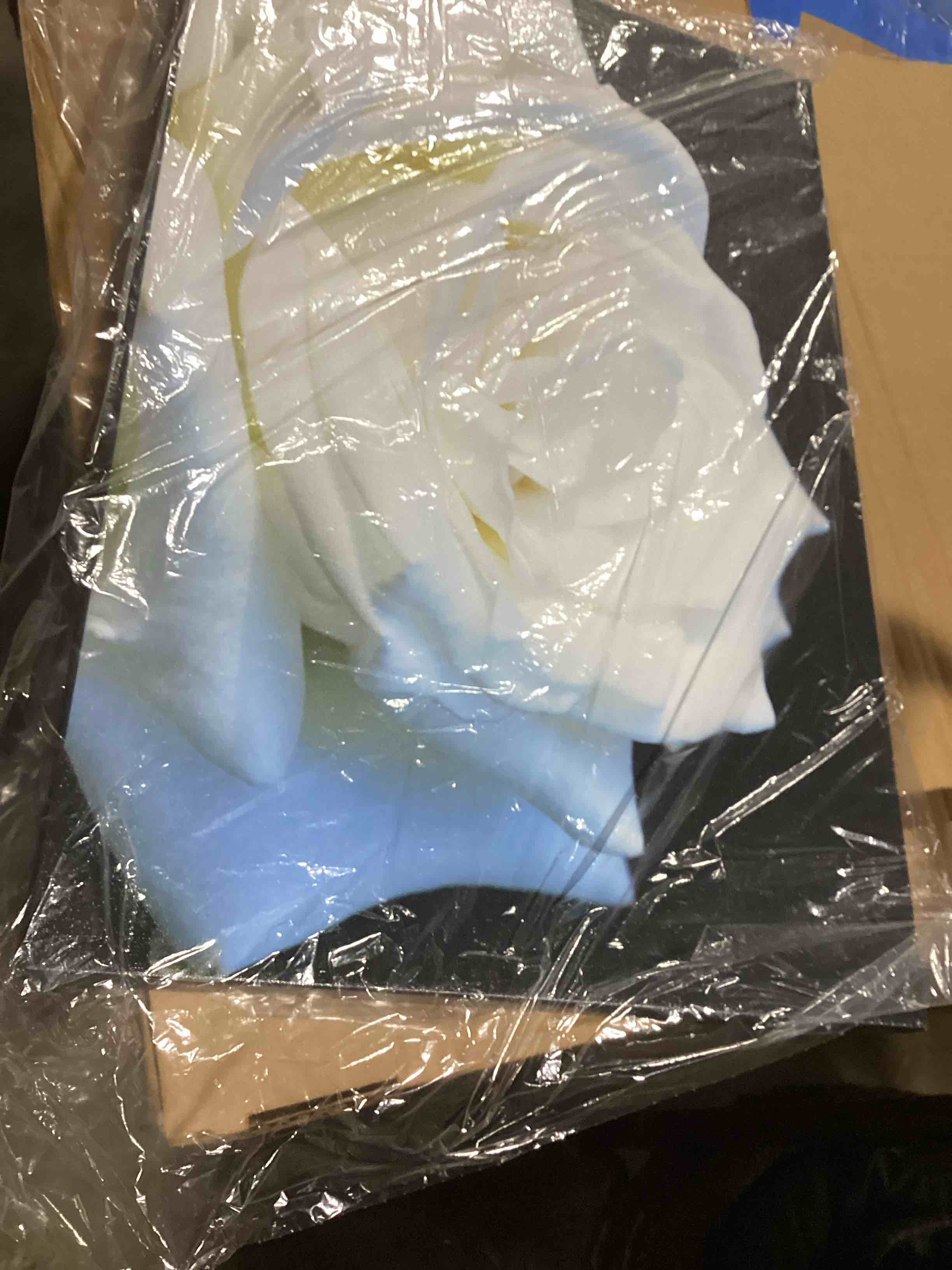 https://s3.amazonaws.com/lotting-images-prod/bidfta/RED6662789_1729190215727.jpeg