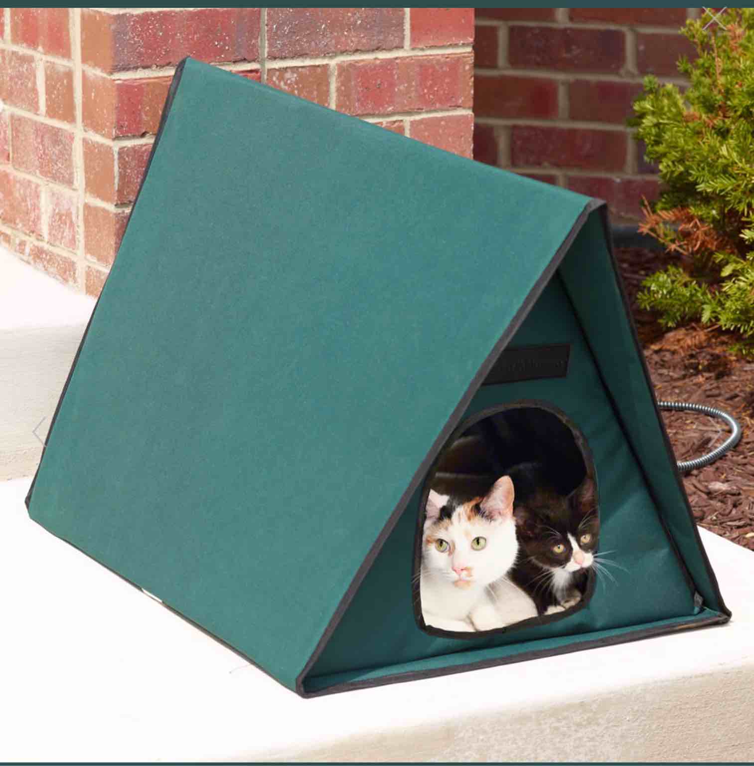 The Only Outdoor Heated Multi Cat Shelter 