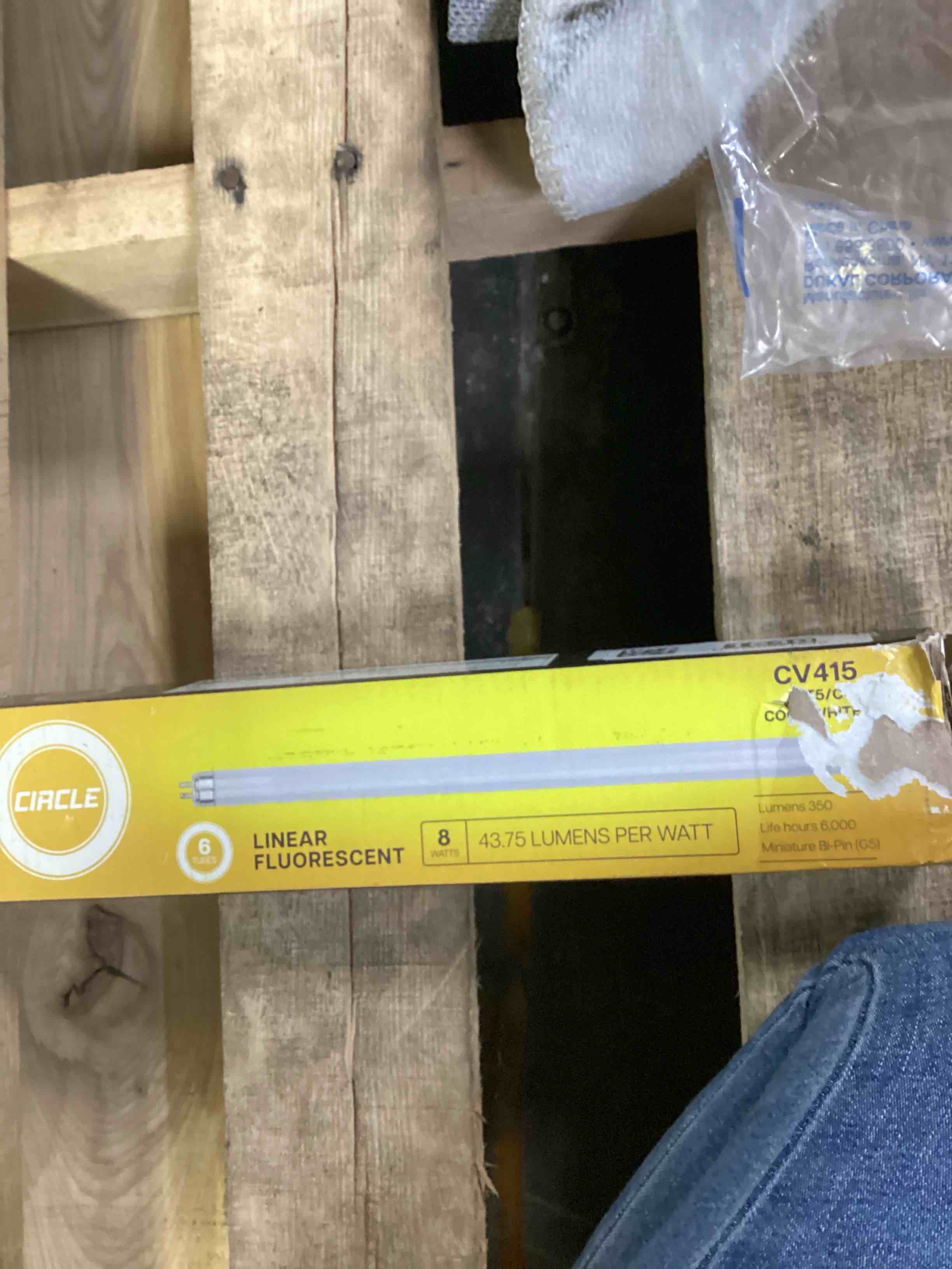 circle Linear Fluorescent 8watt