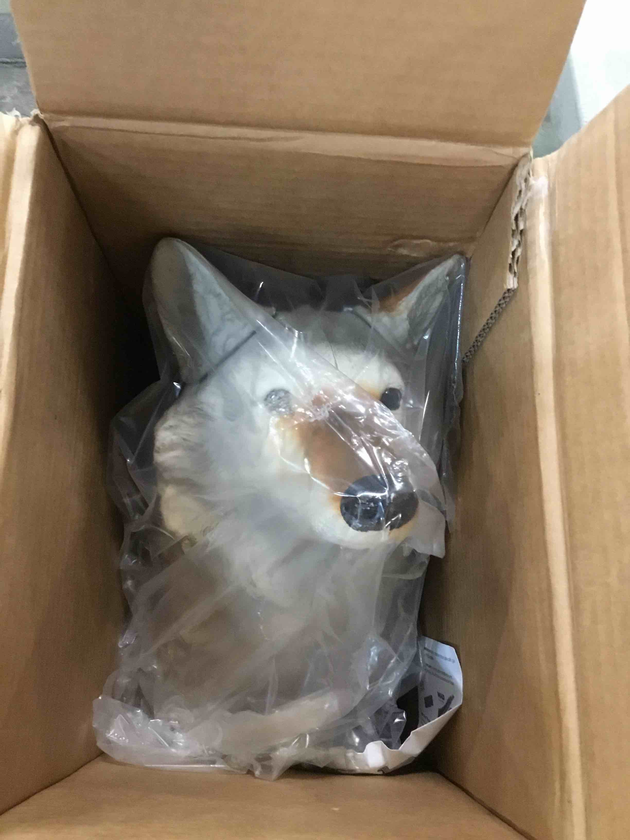https://s3.amazonaws.com/lotting-images-prod/bidfta/RED6787174_1722379716452.jpeg